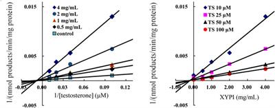 Herb-Drug Interaction Between Xiyanping Injection and Lopinavir/Ritonavir, Two Agents Used in COVID-19 Pharmacotherapy